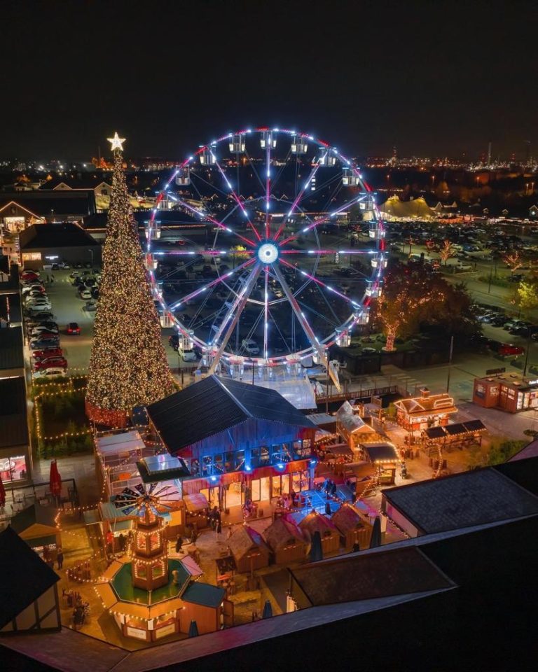 Why Shopping Centers are Choosing Observation Wheels for Customer Engagement